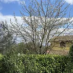 Casa Erica * تودي